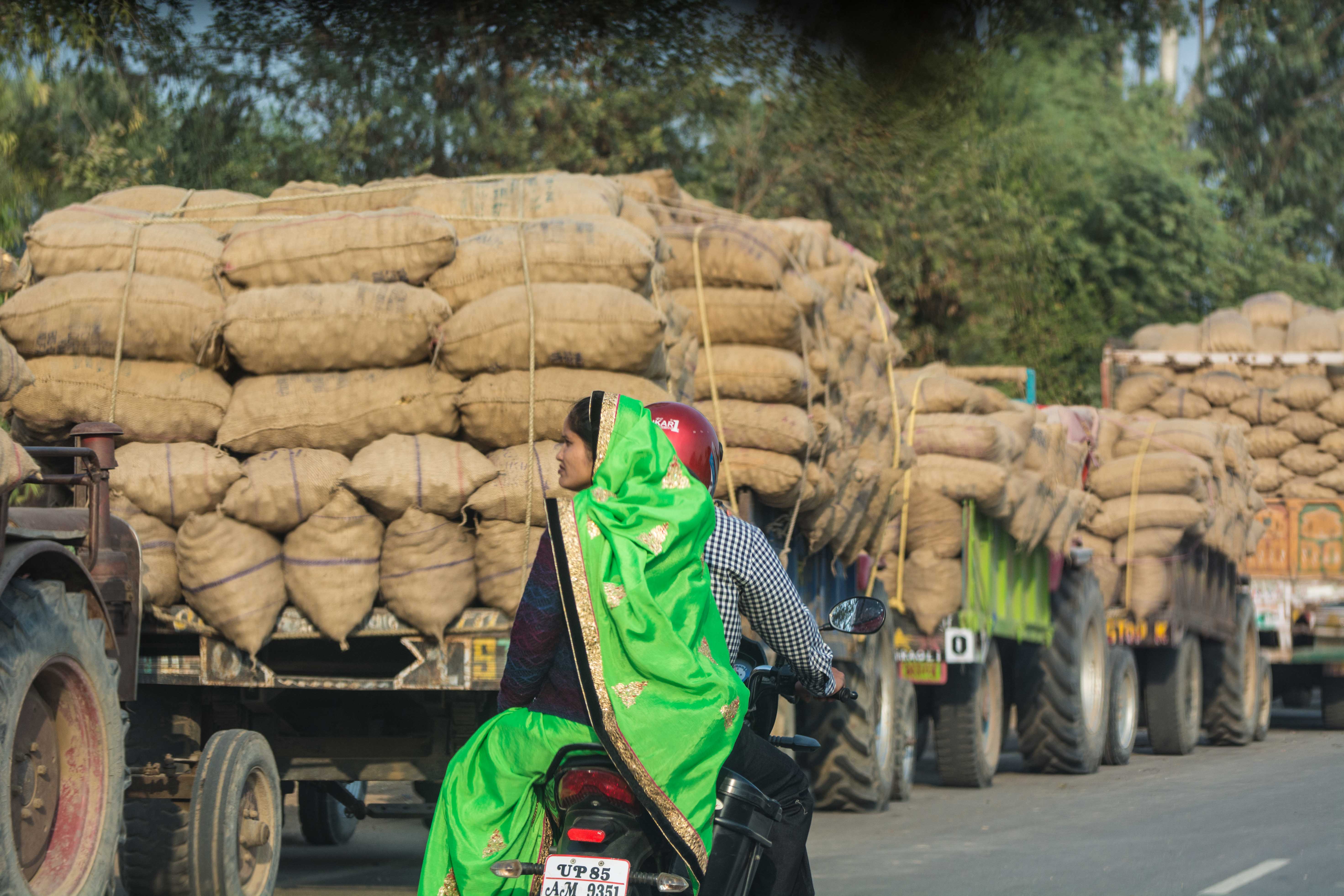 Circulation Inde: camions de pommes de terre