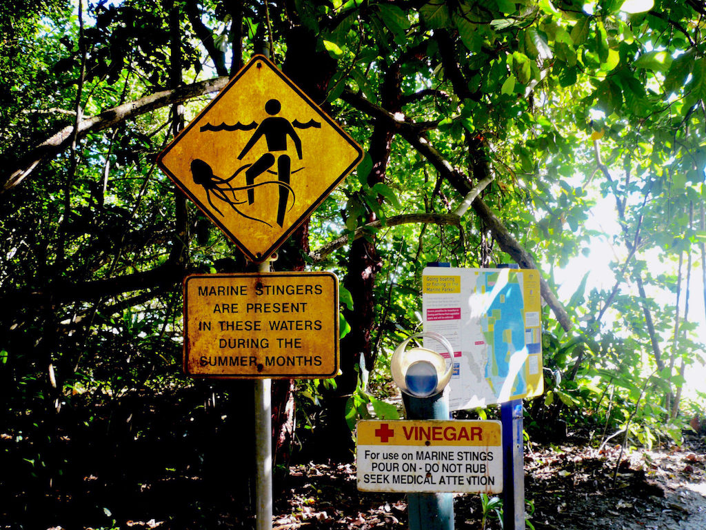 Australie - Cape Tribulation