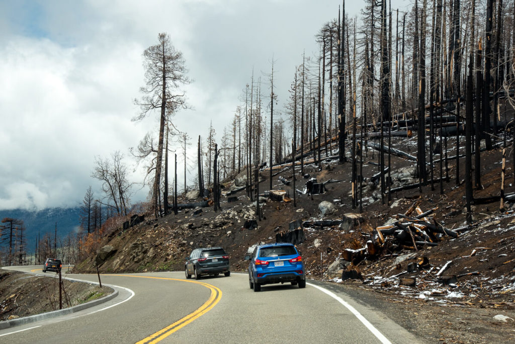Sequoia du Yosemite dévastés par le feu 