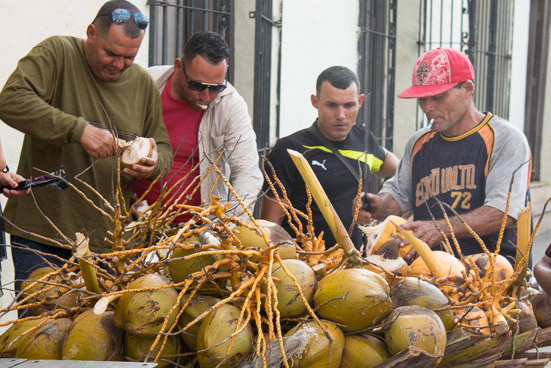 Cuba - Camaguey, noix de coco