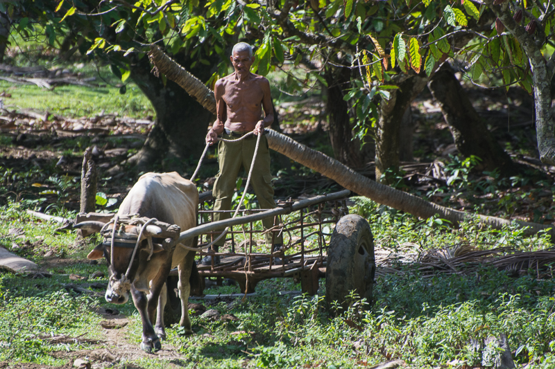 Cuba - environs de Baracoa