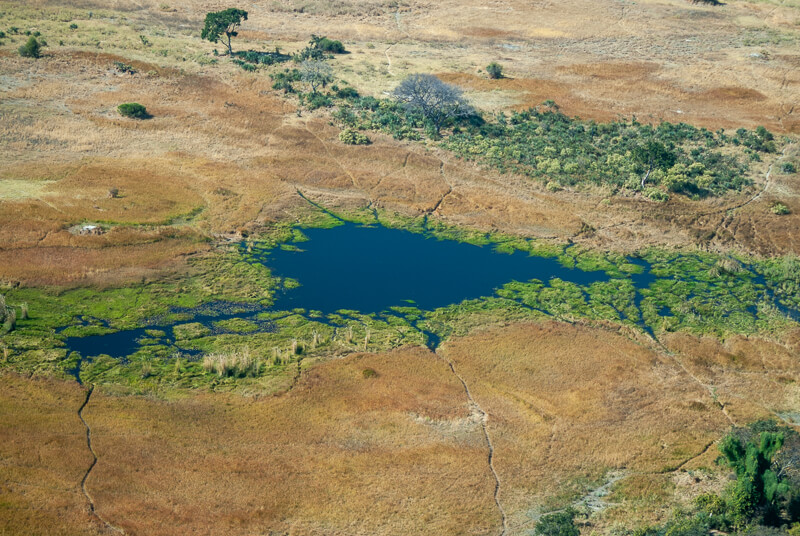 Afrique australe, Botswana - Le delta de l'Okavango vue d'avion