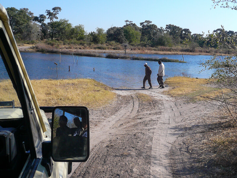 Afrique australe, Botswana - Repérage inquiet avant la traversée du gué d'entrée dans le delta de l'Okavango