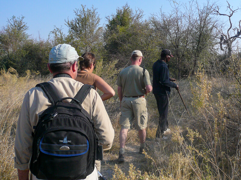 Afrique australe, Botswana - Safari pédestre dans le delta de l'Okavango