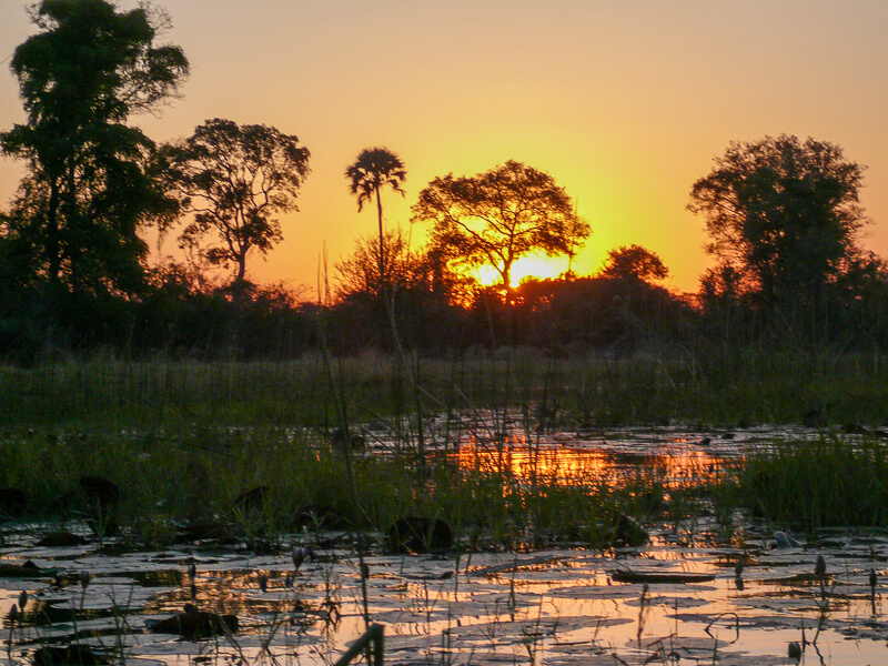 Afrique australe - Coucher de soleil dans le delta de l'Okavango