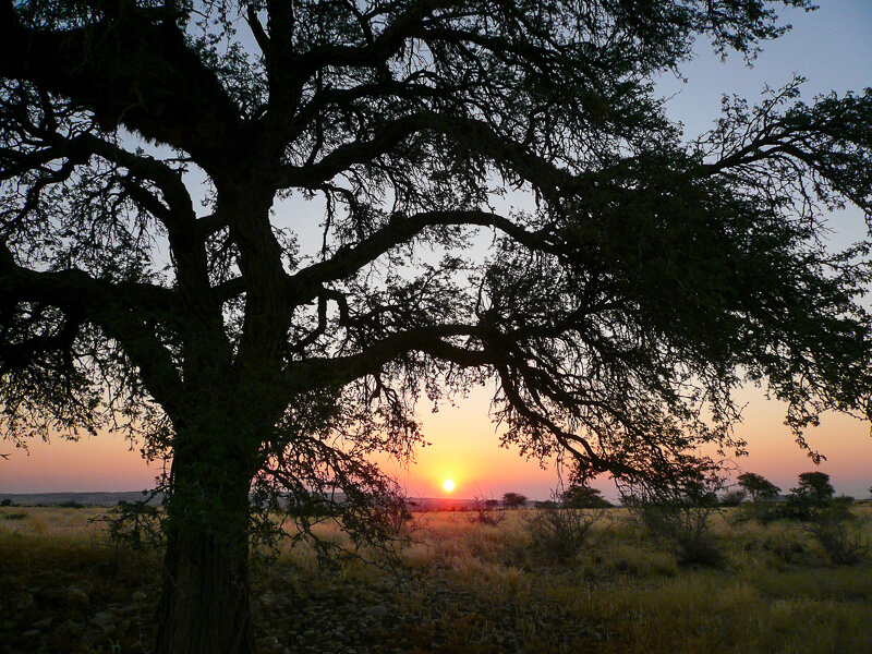 Afrique australe -Namib - coucher de soleil à Solitaire
