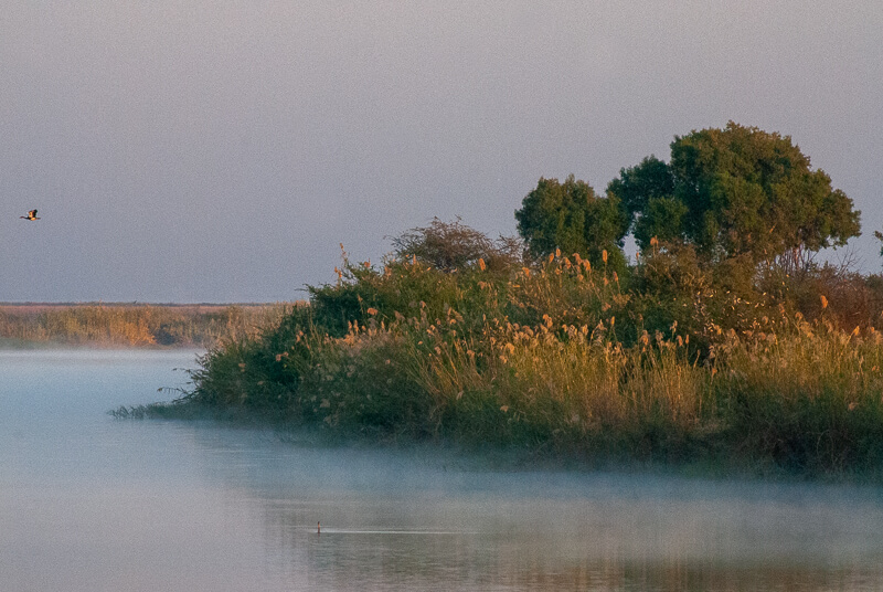 Afrique australe - Botswana - la rivière Chobe