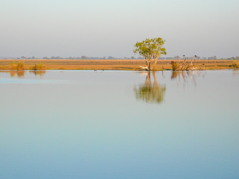 Afrique australe - Botswana - la rivière Chobe