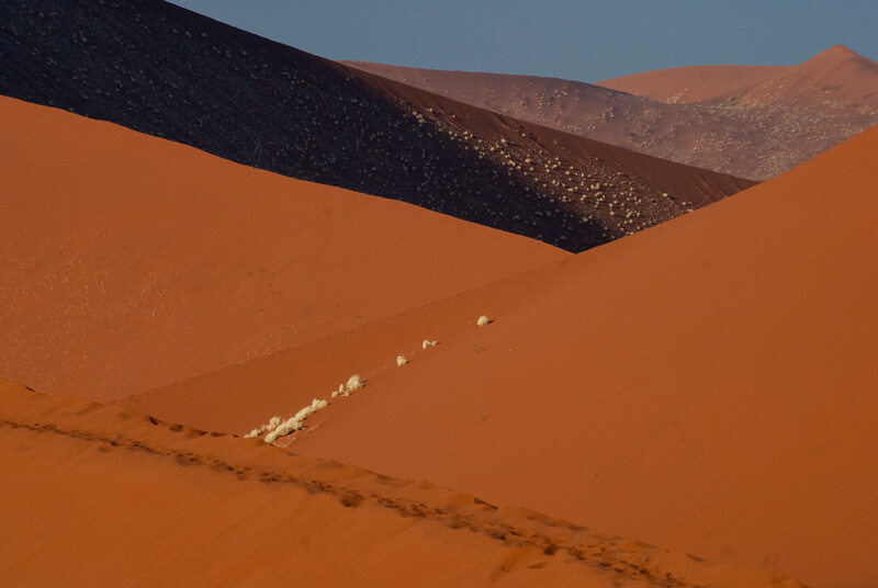 Afrique australe -Namib, les dunes sculptées par le vent