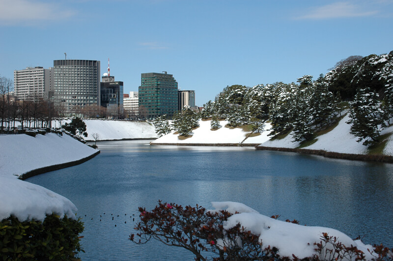 Japon,Tokyo - Tokyo sous la neige