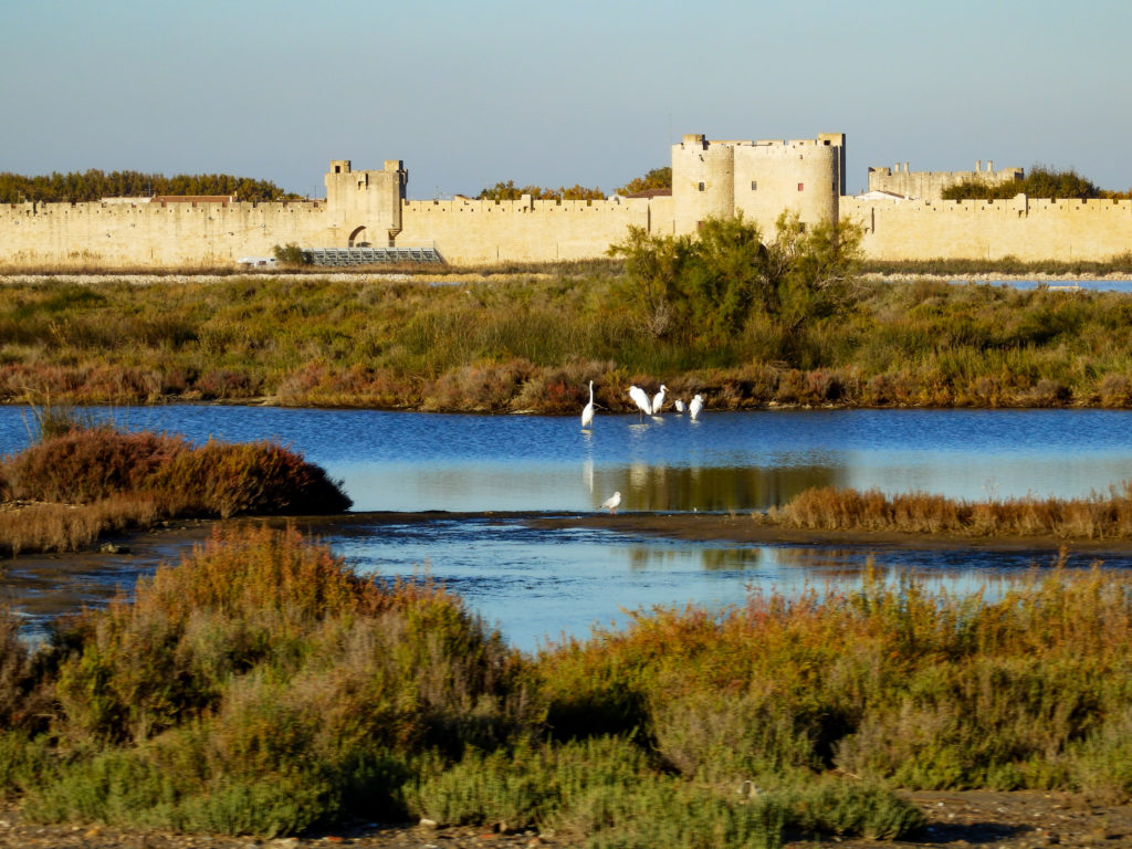 Camargue - Salins de Giraud - Aigues-Mortes