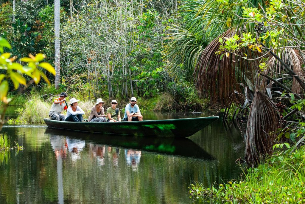 Pérou, Amazonie - la forêt. Balade en pirogue