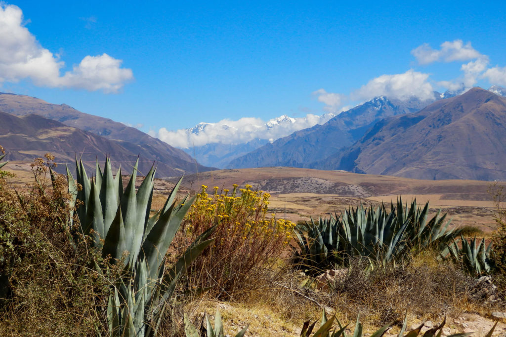 Pérou, Vallée sacrée - Maras, paysage