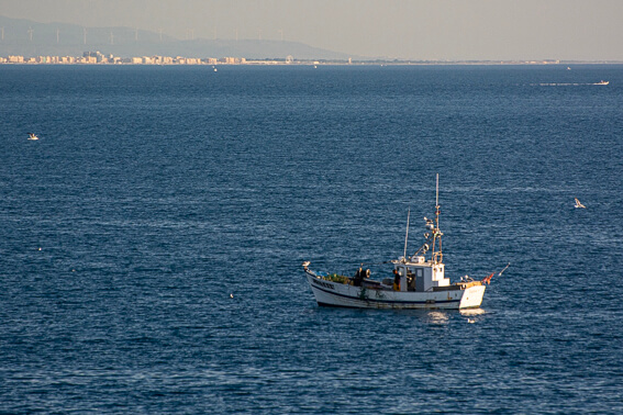 France - Baie de Collioure, bateau de pêche