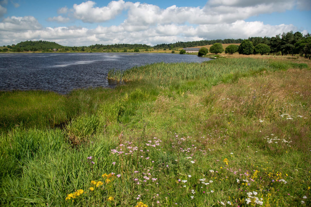 France, Auvergne - Lac du pêcher