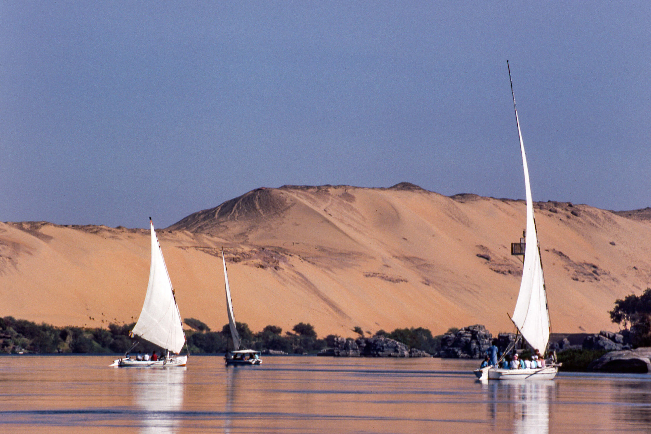 Egypte, Assouan - Le Nil