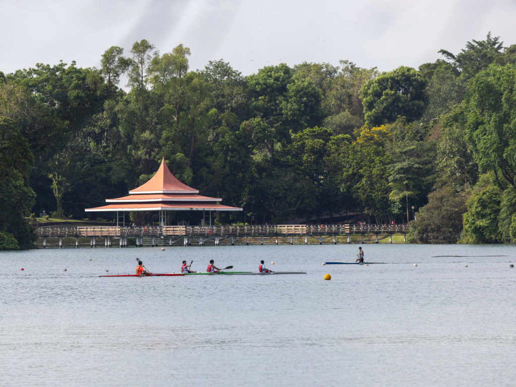 Singapour - Macritchie reservoir, aviron