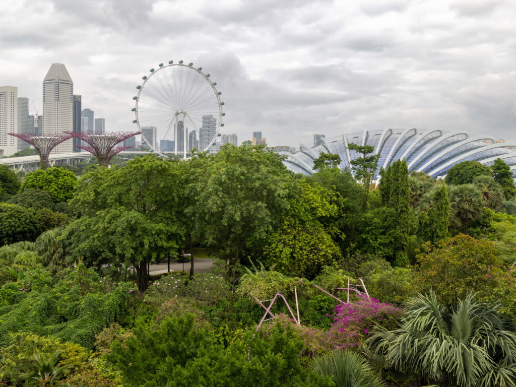 Singapour - Garden by the bay vu de la passerelle des super trees