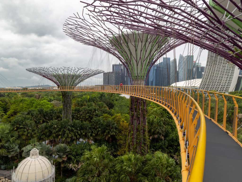 Singapour - Garden by the bay, les super trees