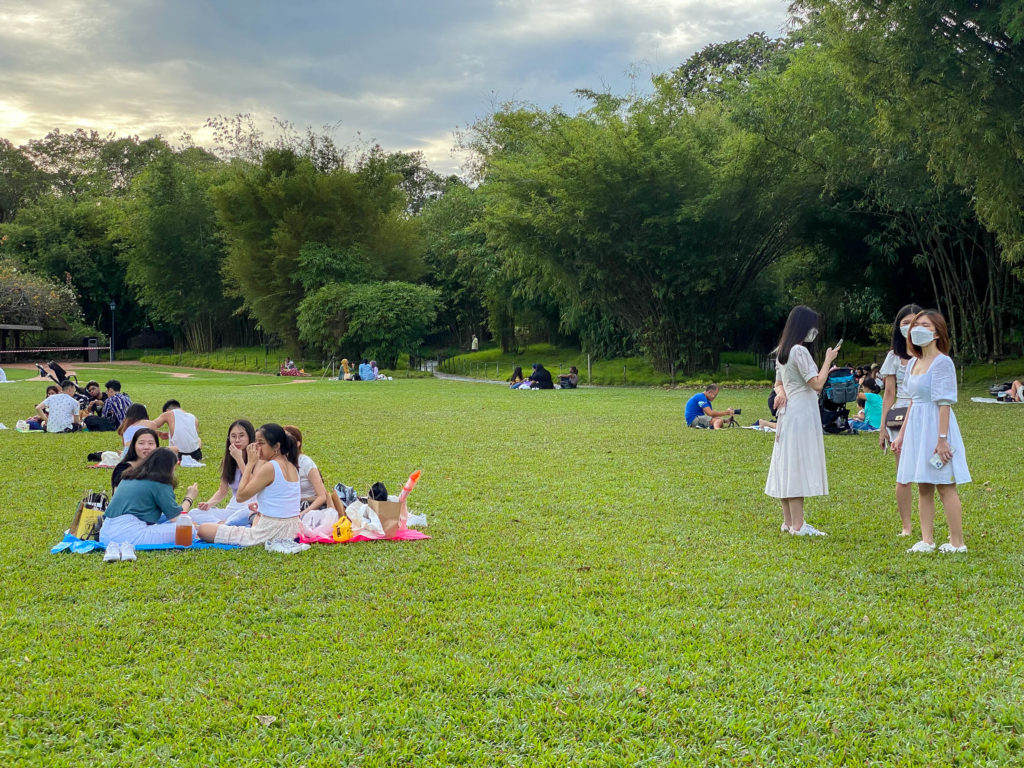 Singpaour - Botanic Garden, pique-nique du soir