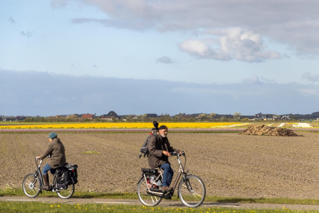 Pays-Bas, Texel - Tulipes et vélos