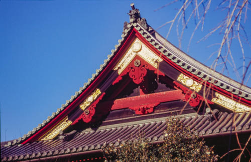 Japon,Tokyo - Temple Kiyo Misu dans  parc Ueno
