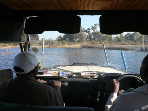 Afrique australe,  Botswana - Traversée du gué d'entrée entre les piquets dans le delta de l'Okavango