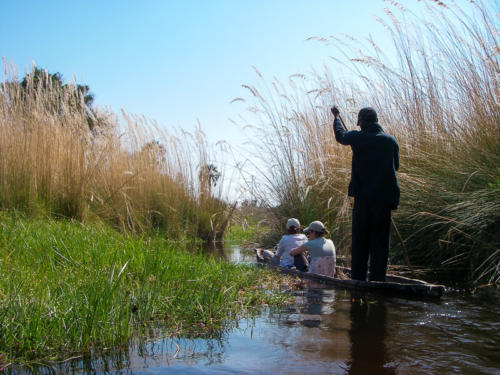 Afrique australe,  Botswana -Découverte du delta de l'Okavango en pirogue (mokoro)