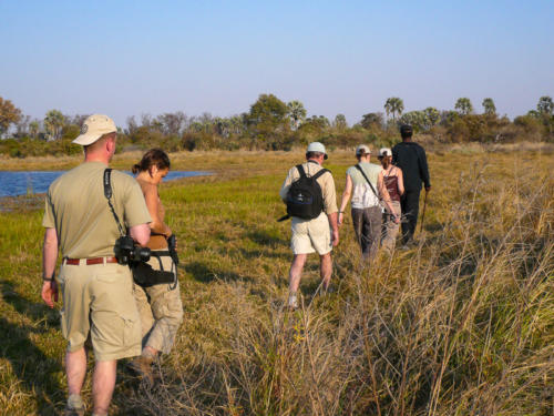 Afrique australe, Botswana - Safari pédestre dans le delta de l'Okavango