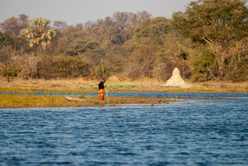Afrique australe, Botswana - Piscine aux hippopotames dans le delta de l'Okavango