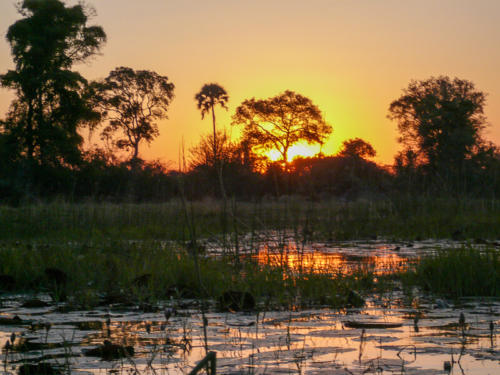 Afrique australe - Botswana - Coucher de soleil dans le delta de l'Okavango