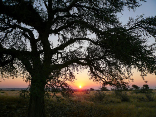 Afrique australe -Namib - coucher de soleil à Solitaire 