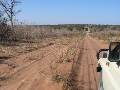 Afrique australe - Botswana, très longues pistes de sable 