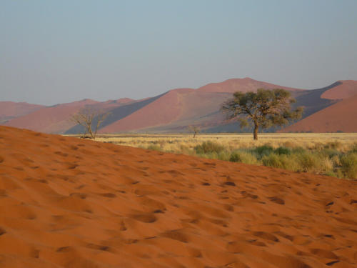 Afrique australe -Namib, - paysage des dunes de Sossusvlei