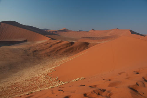 Afrique australe -Namib, les dunes de Sossuslei sculptées par le vent