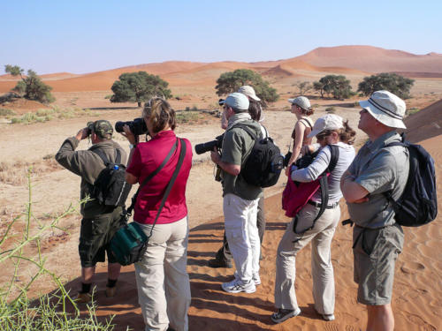Afrique australe -Namib, on essaie de repérer des animaux dans les dunes
