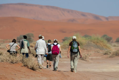 Afrique australe -Namib, découverte pédestre des dunes 
