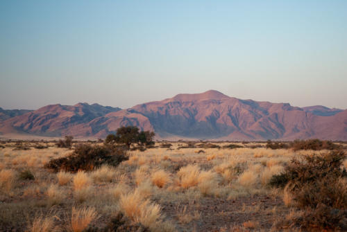 Afrique australe -Namib, paysage de savane