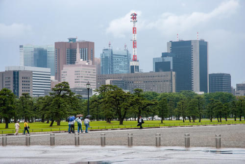 Japon,Tokyo - Centre de Tokyo, jardins du palais impérial