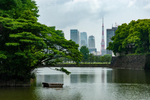 Japon,Tokyo - Centre de Tokyo, jardins du palais impérial