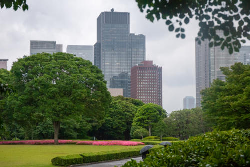 Japon,Tokyo - Centre de Tokyo, jardins du palais impérial