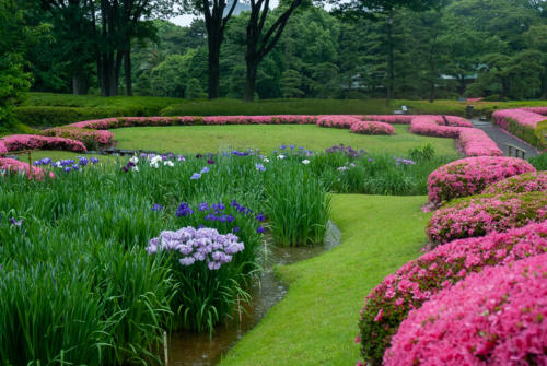 Japon,Tokyo - Centre de Tokyo, jardins du palais impérial