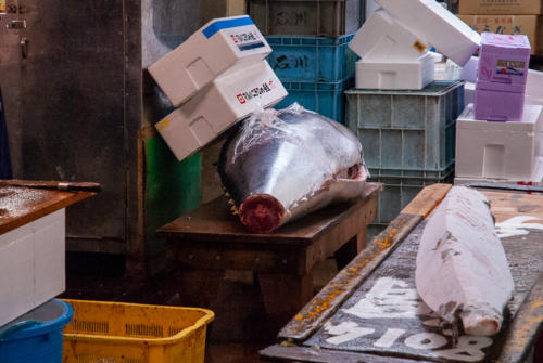 Japon,Tokyo - Centre de Tokyo, marché au poisson de Tsukiji