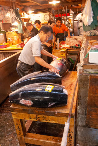 Japon,Tokyo - Centre de Tokyo, marché au poisson de Tsukiji