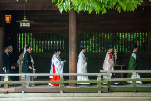 Japon,Tokyo - Quartier Arajuku, mariage au temple Meiji-junku