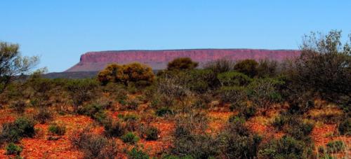 Australie - Centre rouge  - paysage de l'outback