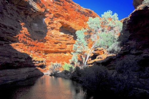 Australie - Centre rouge - Kings canyon