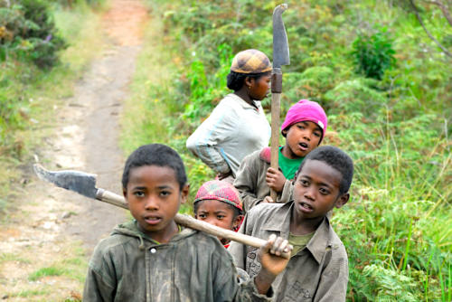 Madagascar - Antroetra, enfants du village Zafimanary, apprentis forestiers