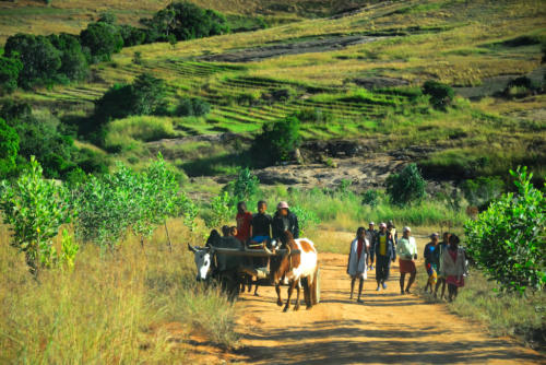 Madagascar - Vallée de Tsaranoro, vie paysanne
