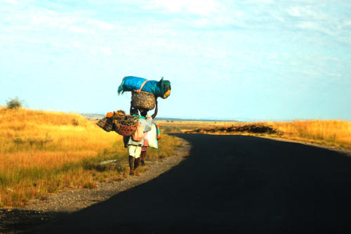 Madagascar - le sud, de Isalo à Tuléar, sur la nationale 7